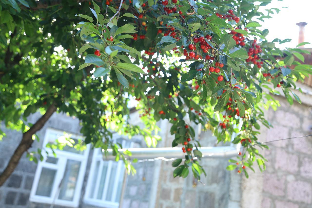 גיומרי Guest House David'S B&B מראה חיצוני תמונה