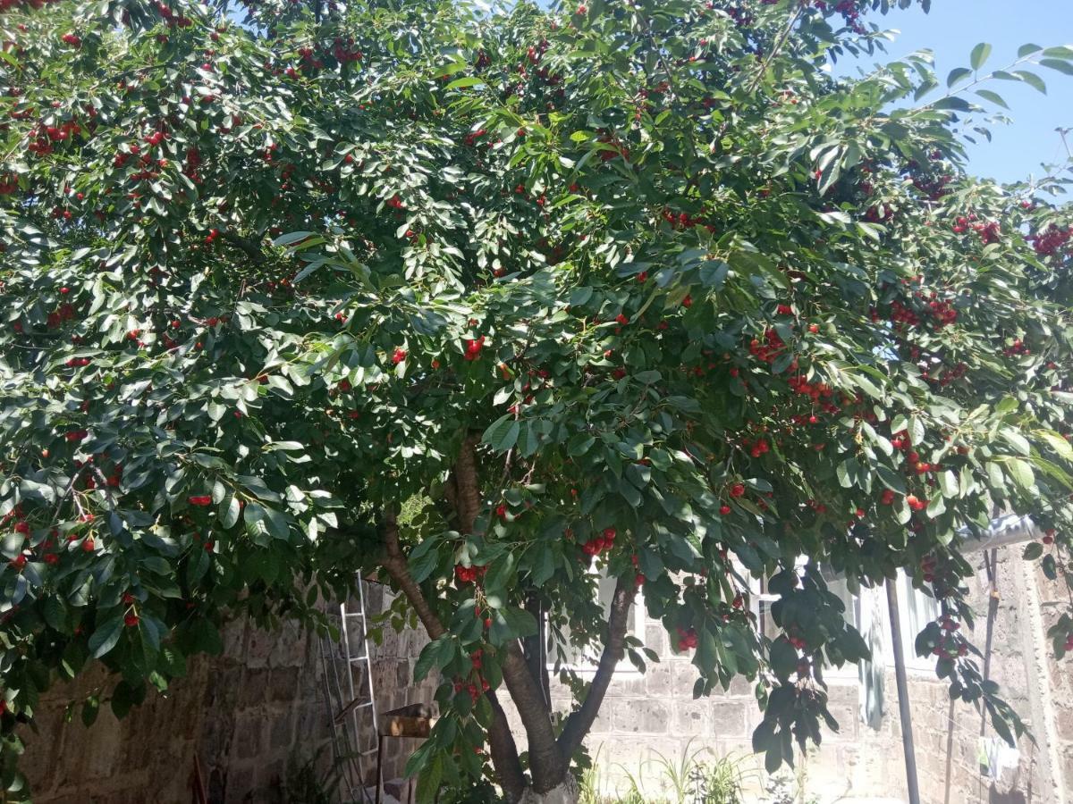 גיומרי Guest House David'S B&B מראה חיצוני תמונה